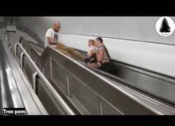 Enlace a Escaleras mecánicas, un depredador natural para el ser humano