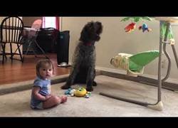 Enlace a Mi deber es enseñarle a ella ahora