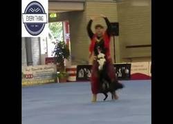 Enlace a Baila mejor que yo