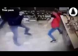Enlace a Como dos gatos enzarzados, con inesperado final