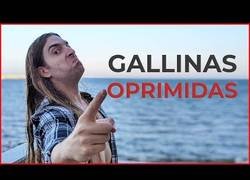 Enlace a GALLINAS ESCLAVAS (NO tocarles los HUEVOS)