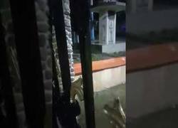 Enlace a Cuando llueve mucho en la India mejor no salir de casa