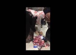 Enlace a ¡Vaya botín se llevaban las señoras!