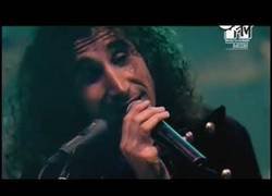 Enlace a System of a Down, pero es Country Roads