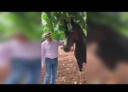 Enlace a El que avisa no es traidor