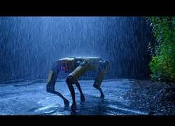 Enlace a ¿Nos acercamos al futuro de las películas?