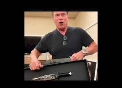 Enlace a ¿Esto es un cuchillo? ESTO ES UN CUCHILLO