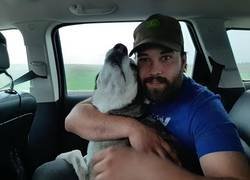 Enlace a Reencuentro entre un hombre y su perro perdido hace 4 años