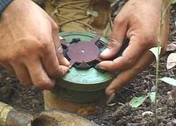 Enlace a Pelotas de acero: desactivando minas