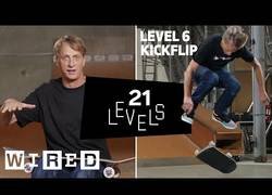 Enlace a 21 niveles de skate por Tony Hawk