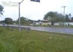 Enlace a ¡Matias! Mira por donde vas