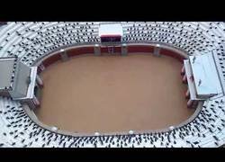 Enlace a Una forma un tanto inusual para dar de comer a tu mascota reptil