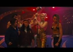Enlace a Aves de Presa, la próxima película de Harley Queen