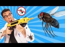 Enlace a Inventos útiles para combatir a moscas y mosquitos