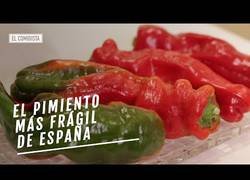 Enlace a Este es el tipo de pimiento más frágil que existe en España