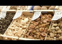 Enlace a Expertos en setas aconsejan sobre cómo comprarlas y cómo cocinarlas