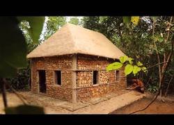 Enlace a Construyendo una caseta con maderas de la selva