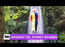 Enlace a Algunos sustos y sucesos paranormales captados por la cámara