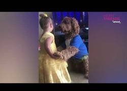 Enlace a El mejor 'remake' de La Bella y la Bestia que verás hoy