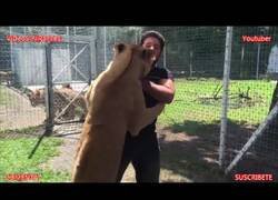 Enlace a La reacción de esta leona al reencontrarse con su antiguo cuidador