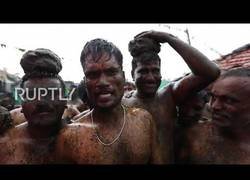 Enlace a Las asquerosa 'tomatina' en India, utilizan heces de vaca