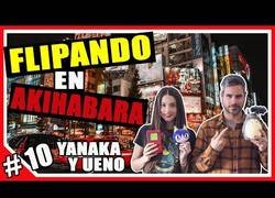 Enlace a El paraíso Friki de Akihabara, Japón