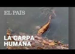 Enlace a Graban a un pez con la cara de un humano en China
