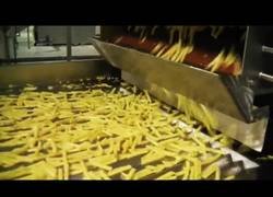 Enlace a Así se cocina patatas fritas de manera industrial