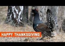 Enlace a Cuando el Día de Acción de Gracias se te complica