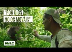 Enlace a Wild Frank se topa con unos elefantes asiáticos