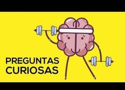 Enlace a Dando respuestas a preguntas curiosas e interesantes