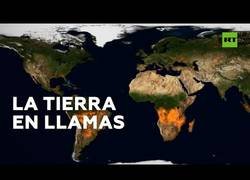 Enlace a Este vídeo nos muestra los incendios forestales que ha sufrido el planeta a lo largo del año