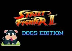 Enlace a Street Fighter II: Edición Perros