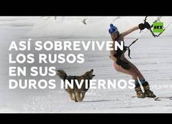 Enlace a ¿Cómo sobreviven los rusos al duro invierno?