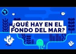 Enlace a Los misterios de las zonas más profundas del mar
