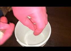 Enlace a Esto es lo que sucede si dejas un hueso en vinagre