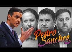 Enlace a Pedro Sánchez y el Gobierno Frankenstein