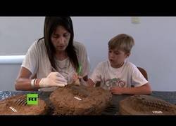 Enlace a Un niño descubre fósiles de animal prehistórico en una playa de Argentina