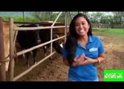 Enlace a 10 momentos inolvidables captados por la televisión en directo