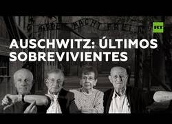 Enlace a Los últimos supervivientes de Auschwitz hablan 75 años después