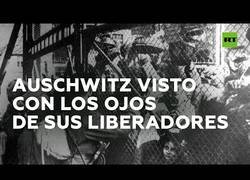 Enlace a Los liberadores de Auschwitz cuentan su historia en el 75º aniversario de la efeméride