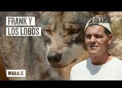 Enlace a Wild Frank camina junto a lobos en Antequera