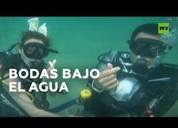 Enlace a Lo último en bodas exóticas: casarse bajo el agua