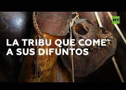 Enlace a Los yanomamis, la tribu que se come a sus difuntos