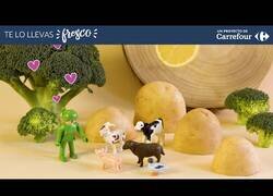 Enlace a Cosas que no deberíamos decir a un vegetariano