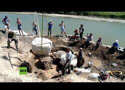 Enlace a Encuentran en Argentina fósiles de armadillos gigantes