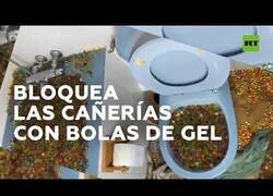 Enlace a Un 'youtuber' atasca las tuberías de toda una urbanización tras un experimento con bolas de gel