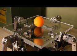 Enlace a Un robot con control absoluto del rebote de una pelota