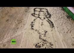 Enlace a Granjero china dibuja un enfermero con 4.000 pollos en apoyo al personal sanitario