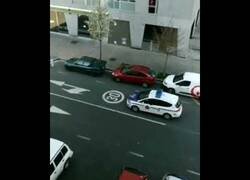 Enlace a Policía juega al escondite durante la cuarentena